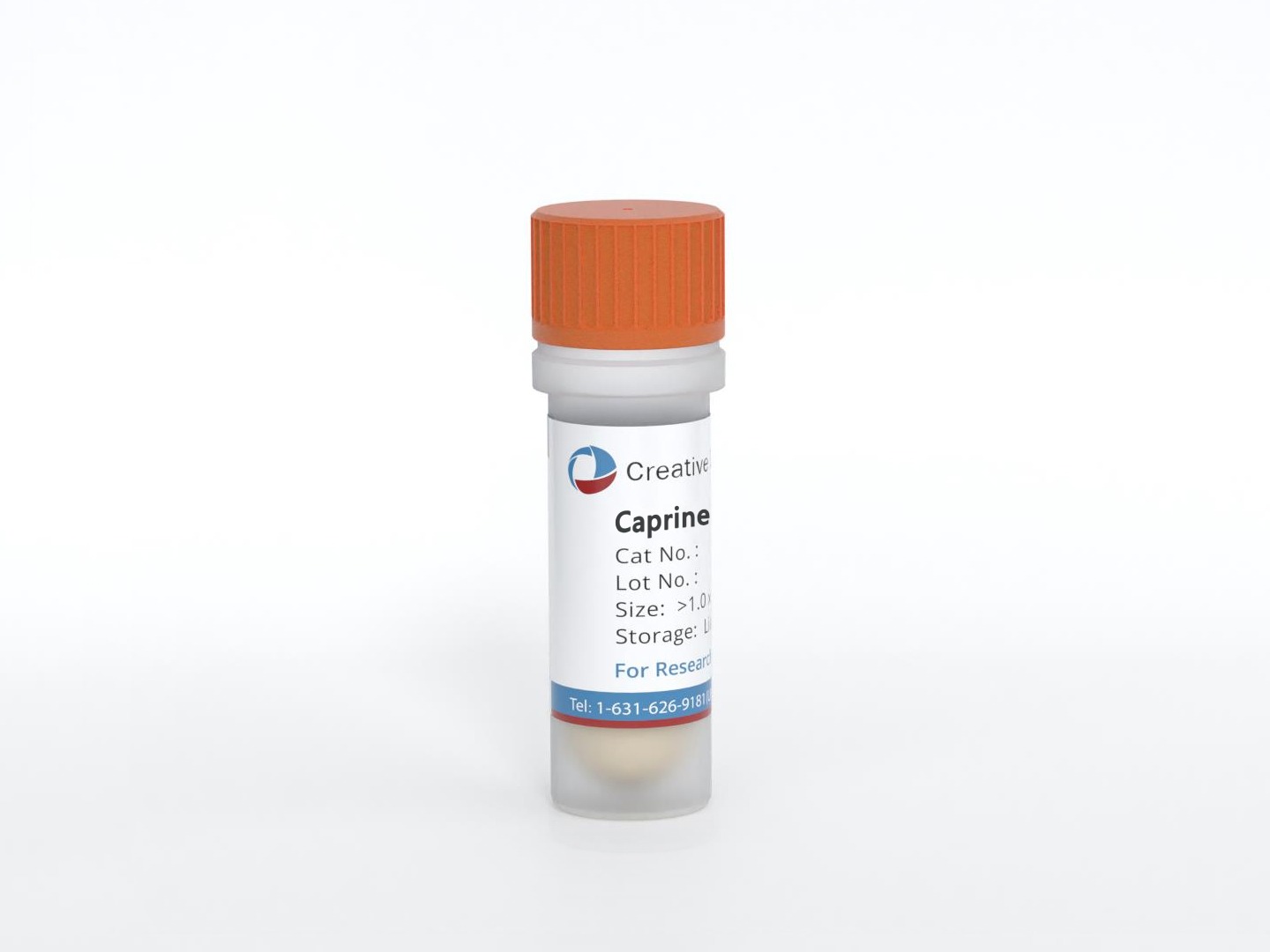 Caprine Renal Tubular Epithelial Cells (CRTECs)