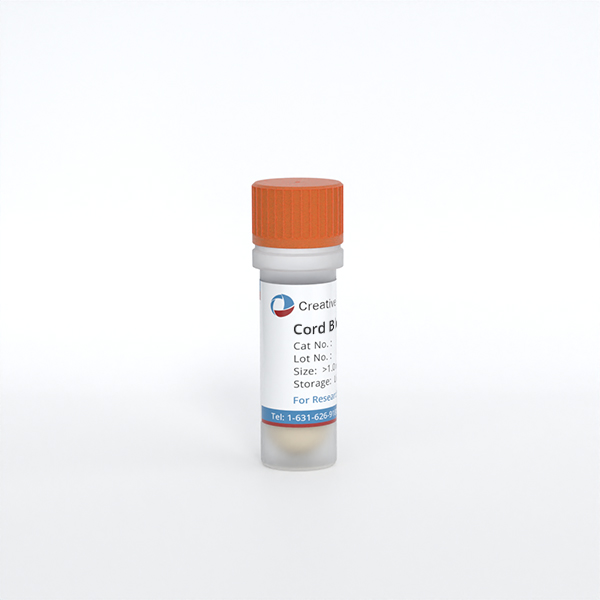 Cord Blood HUVEC (Single)