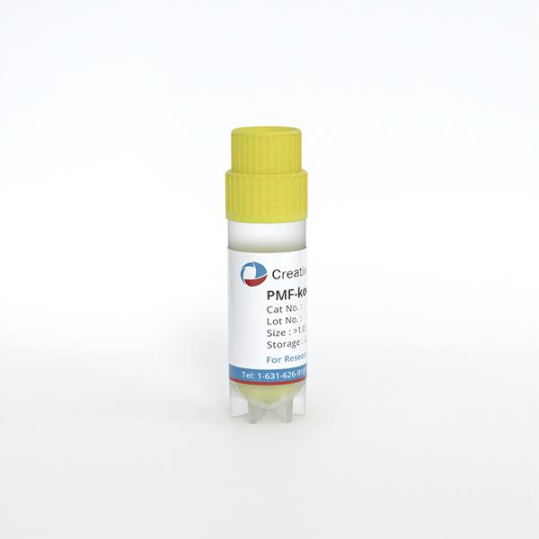 PMF-ko14